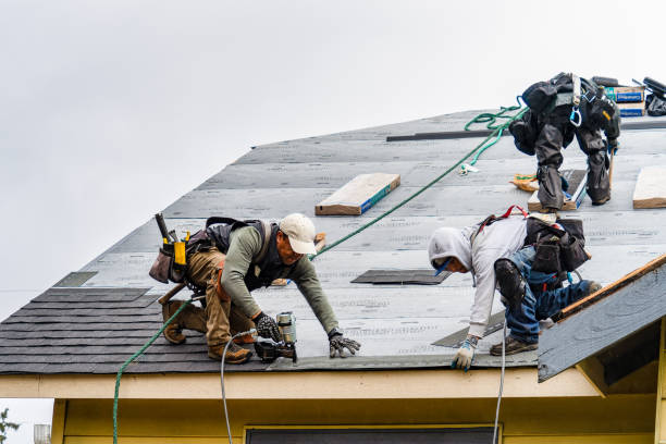 Professional Gutter Installation technician working in Pelican Rapids, MN